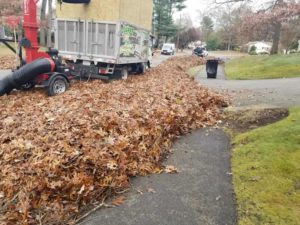 Fall Cleaning Services MA Fall Cleaning - Projects