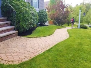 Landscaping services near me"