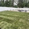 Vinyl Fence