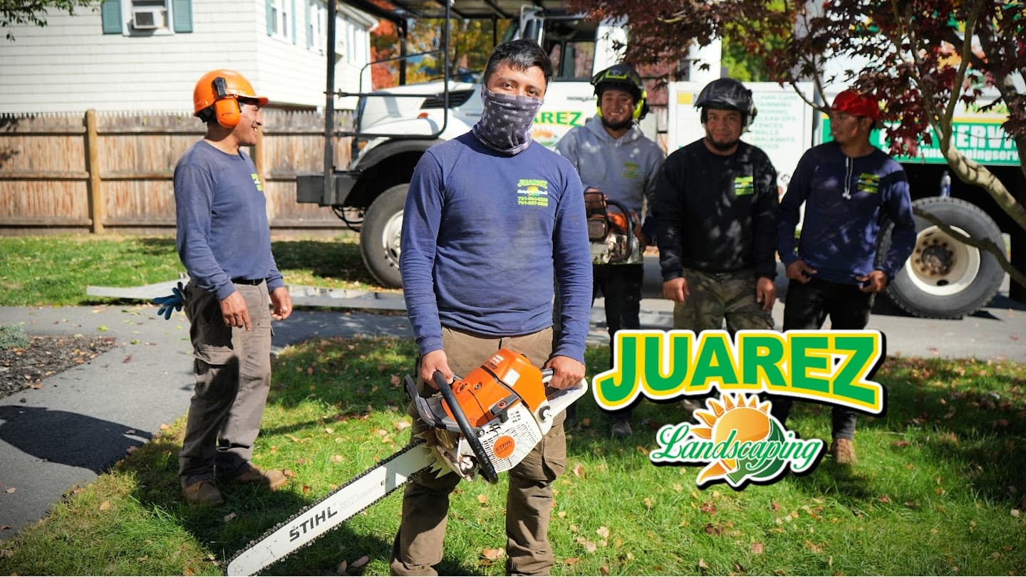 Tree Removal in Peabody, MA