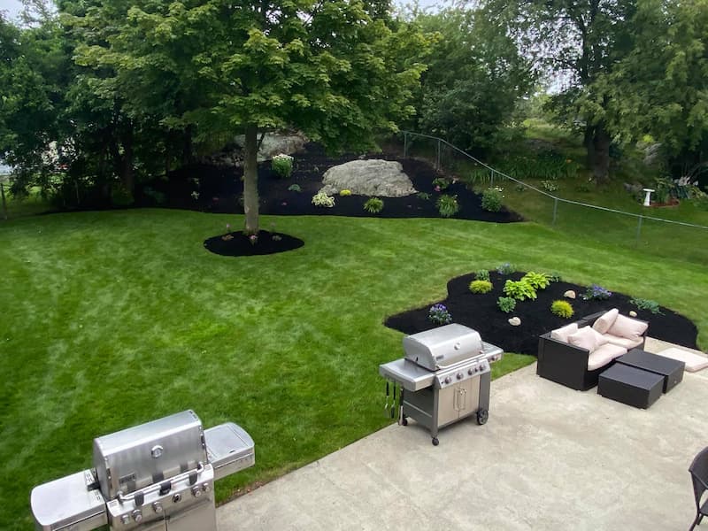 Climate-Resilient Landscaping