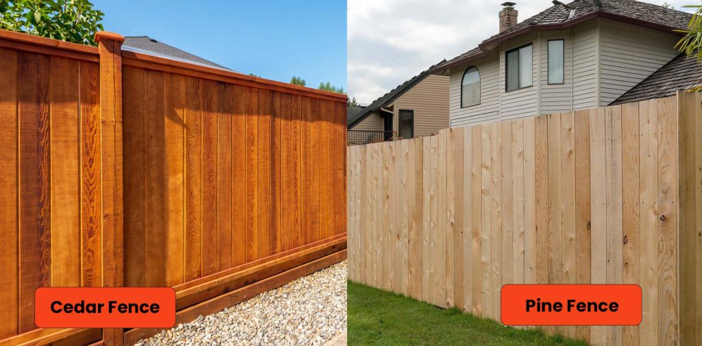 cedar vs pine fence Cedar vs. Pine Fence: Which Wood Is Right for Your Yard? - Complete Guide