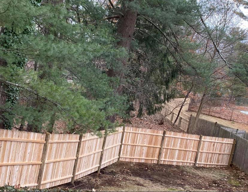 wood fence Cedar vs. Pine Fence: Which Wood Is Right for Your Yard? - Complete Guide