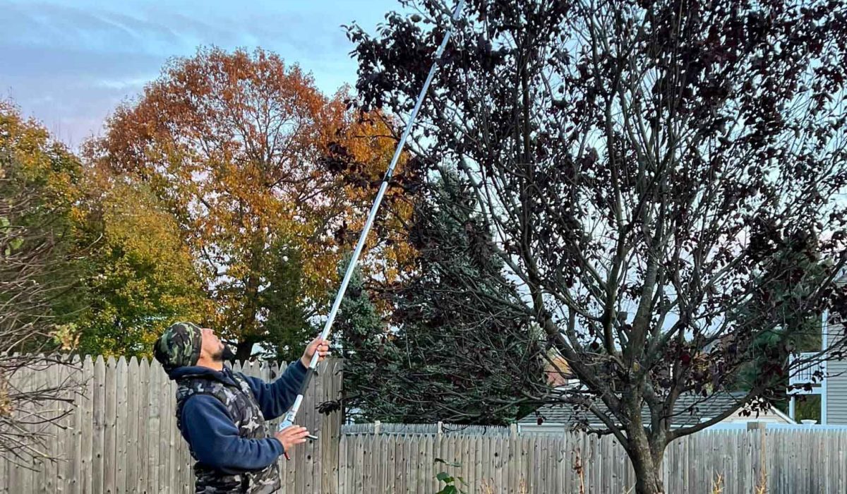 How Proper Tree Limb Trimming Prevents Storm Damage and Property Risks How Proper Tree Limb Trimming Prevents Storm Damage and Property Risks