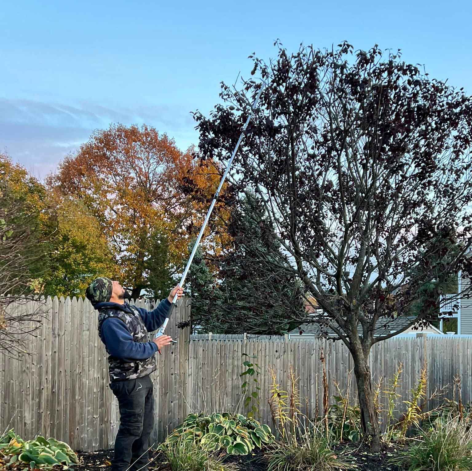How Proper Tree Limb Trimming Prevents Storm Damage and Property Risks How Proper Tree Limb Trimming Prevents Storm Damage and Property Risks