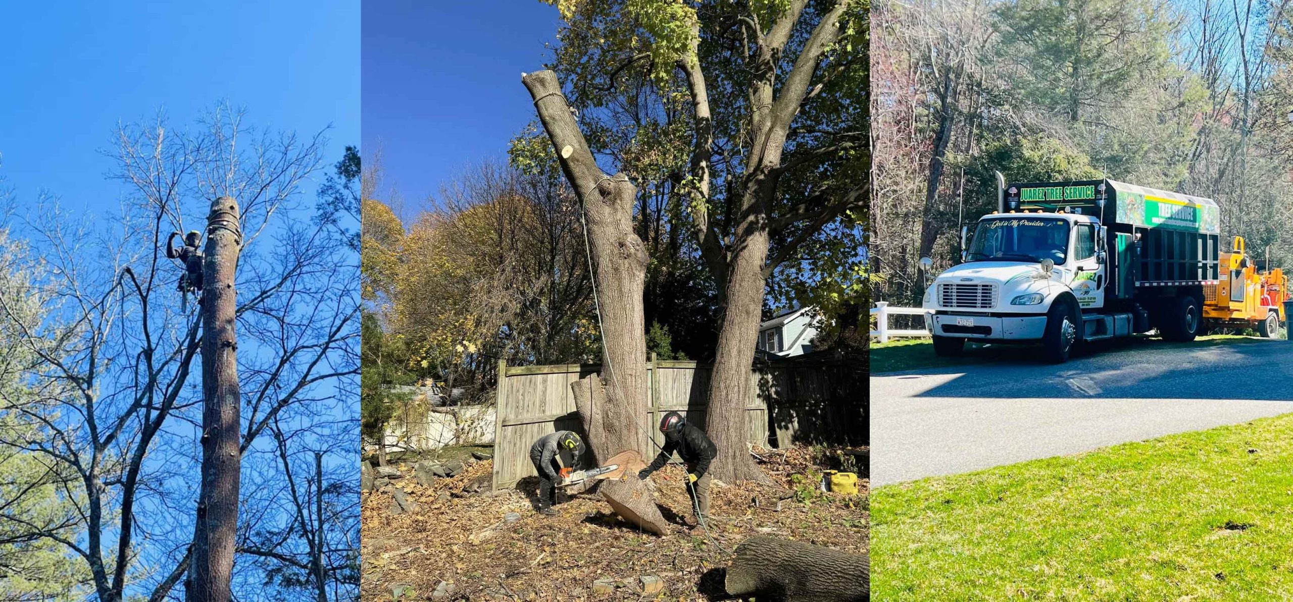 Comparing Tree Removal Techniques 3 scaled Comparing Tree Removal Techniques: Crane-Assisted, Manual, and Sectional Cutting Explained