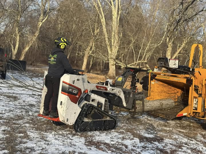 Professional workers using a stump grinding machine to remove tree stumps and clear land, helping improve residential property value.