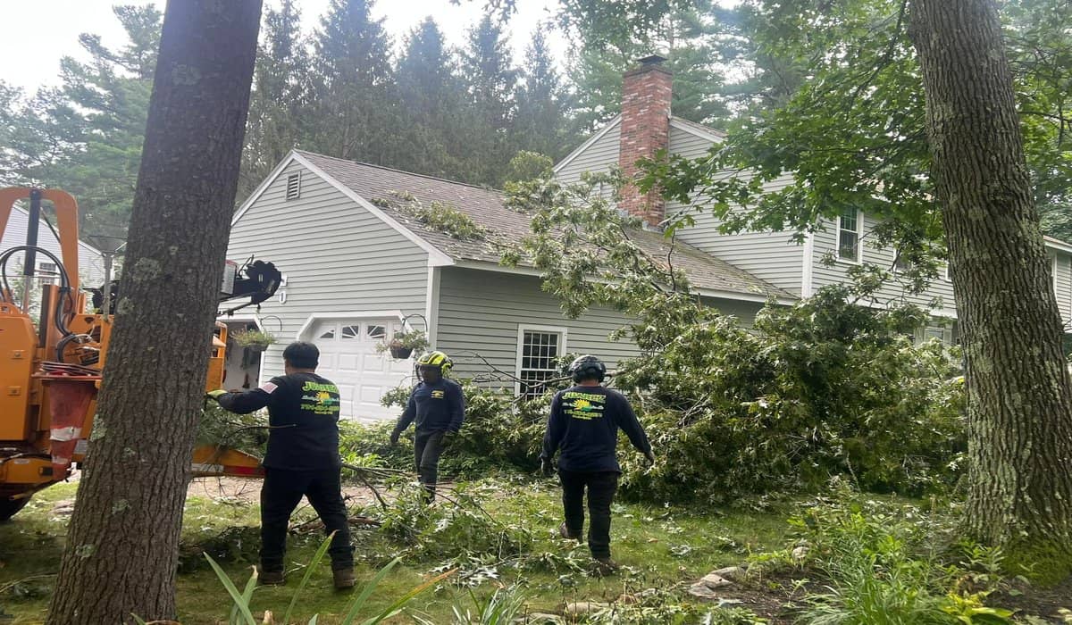 Professional tree removal crew cutting and clearing fallen branches in a residential yard near a house.