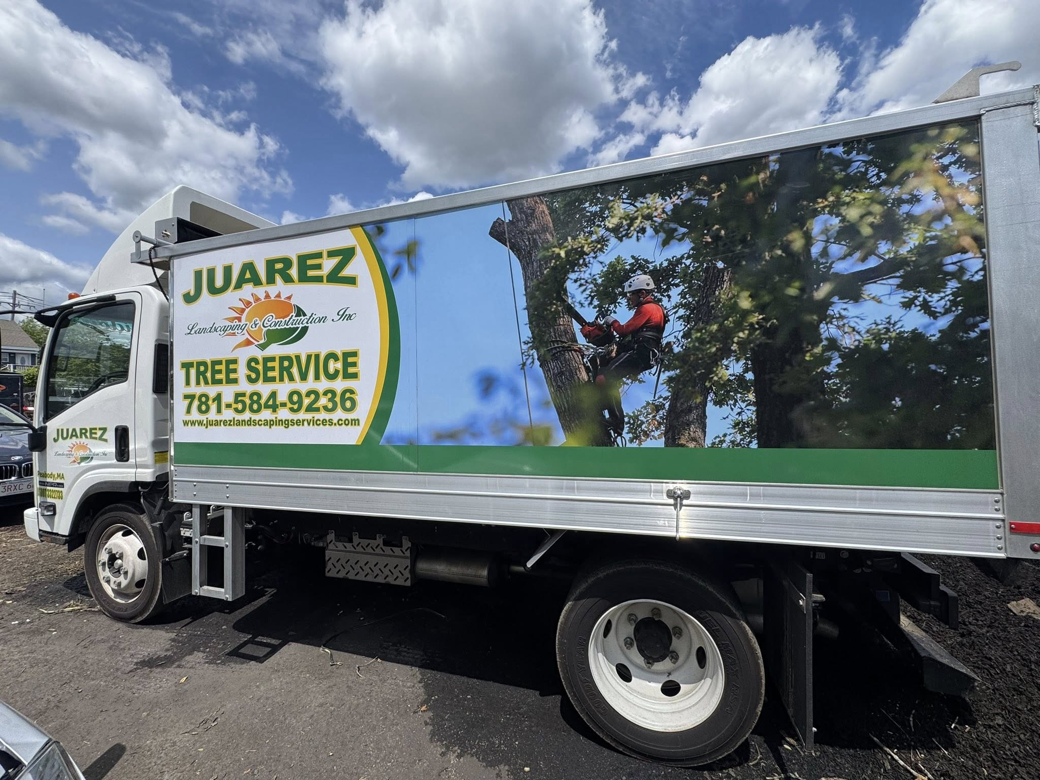 2 Tree Care Tips for Homeowners: Maintaining Healthy Trees Year-Round