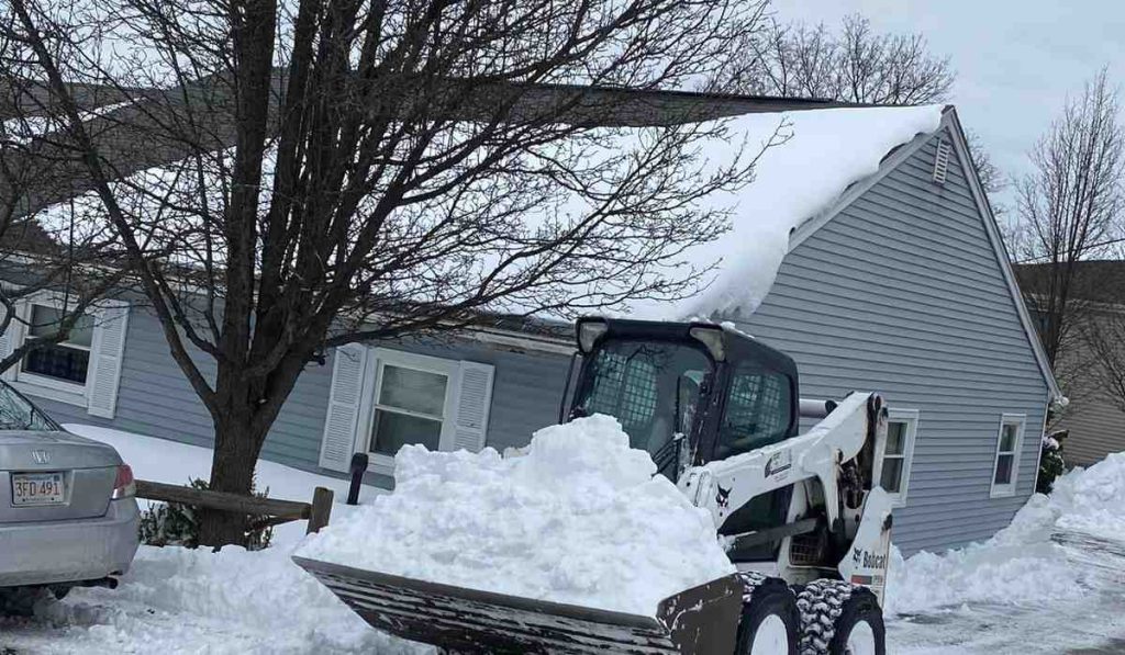 content overgrown hedge maintenance costs Hidden Costs in Tree Removal: What Homeowners Should Know