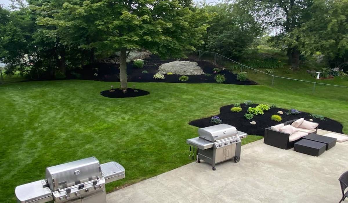 Healthy residential backyard landscape with mature trees, fresh lawn, and mulched planting beds showing proper tree care and maintenance for homeowners year round