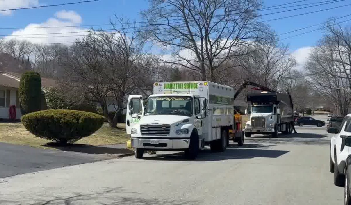 Residential tree services company truck and crew arriving at a home for professional tree removal and tree trimming service
