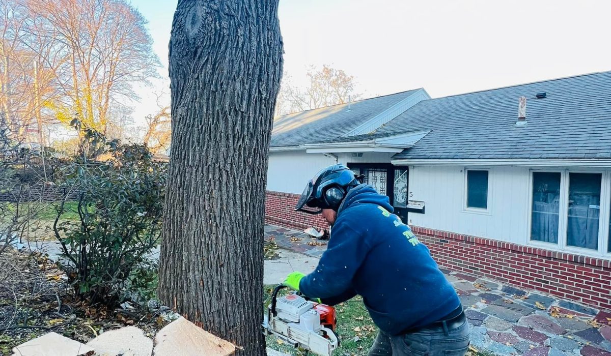 Professional tree service cutting a large tree near a residential house using a chainsaw