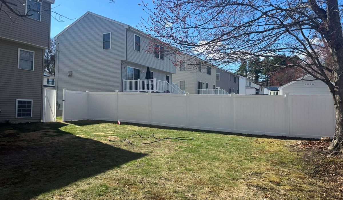 Backyard tree pruning in residential lawn for healthy tree growth and seasonal maintenance