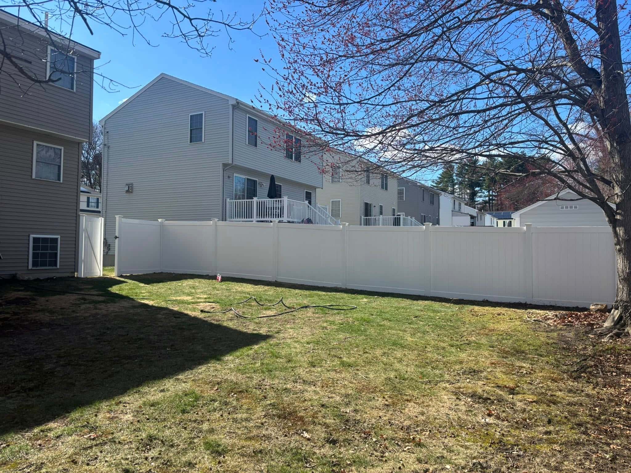 Backyard tree pruning in residential lawn for healthy tree growth and seasonal maintenance