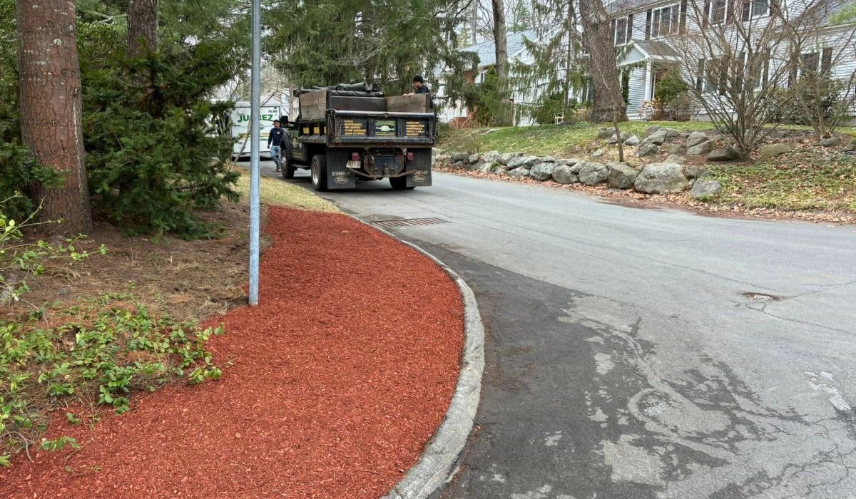 Arborist performing professional tree service and tree removal in residential area