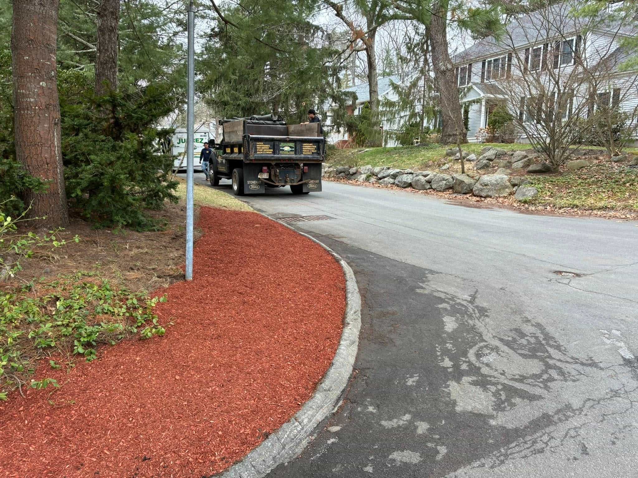 Arborist performing professional tree service and tree removal in residential area