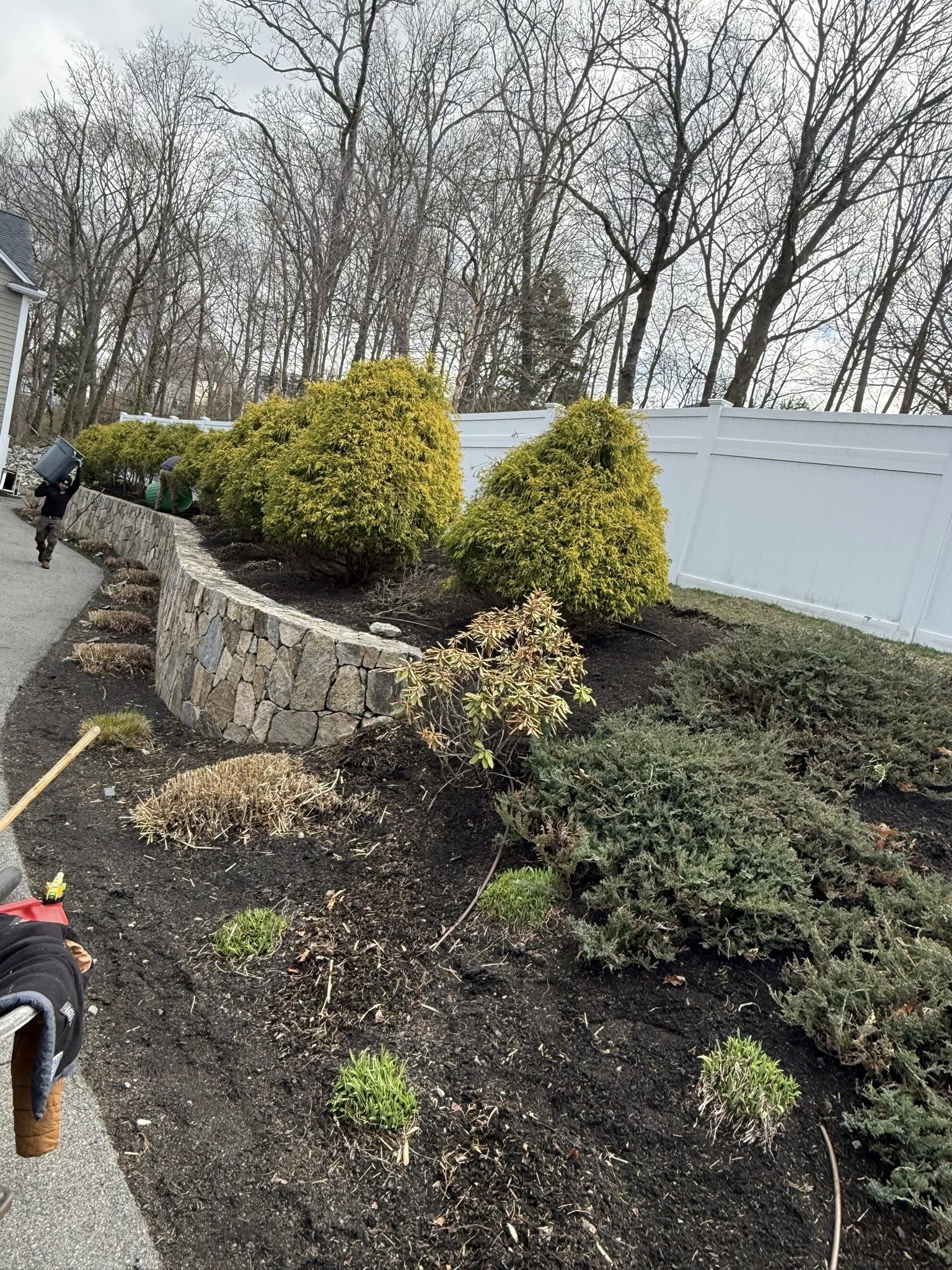 Freshly mulched landscape bed with evergreen shrubs and a stone retaining wall maintained by Juarez Landscaping Services.