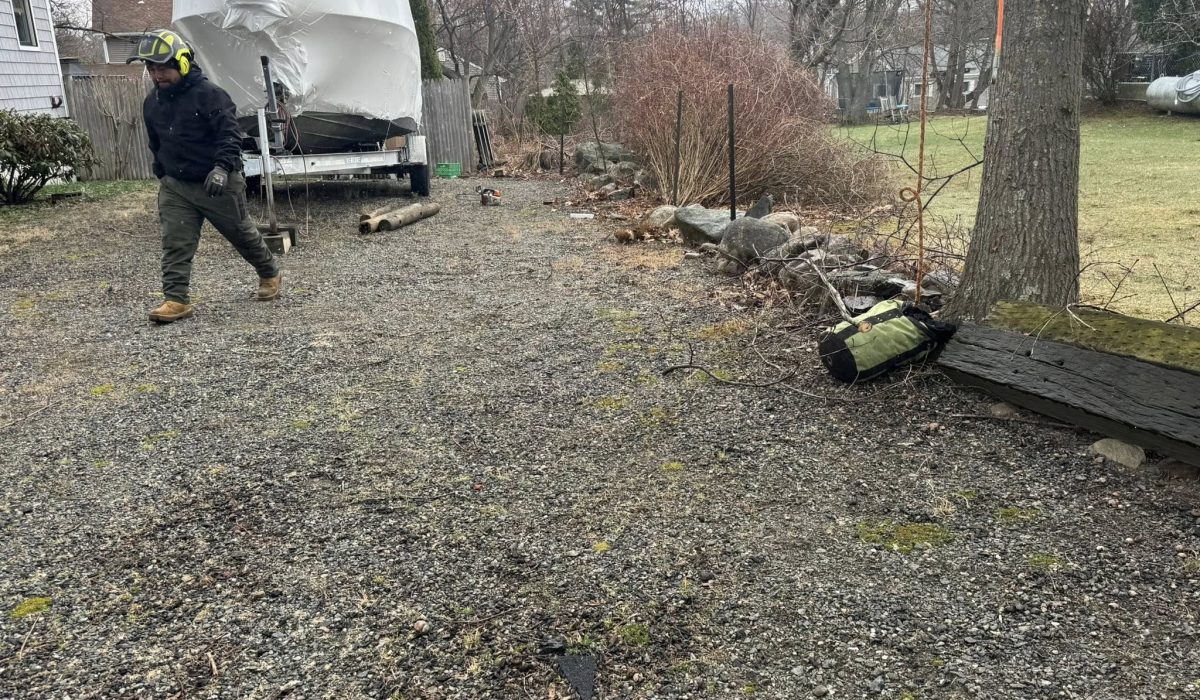 Worker preparing for tree removal near a gravel driveway using safety equipment in a residential backyard