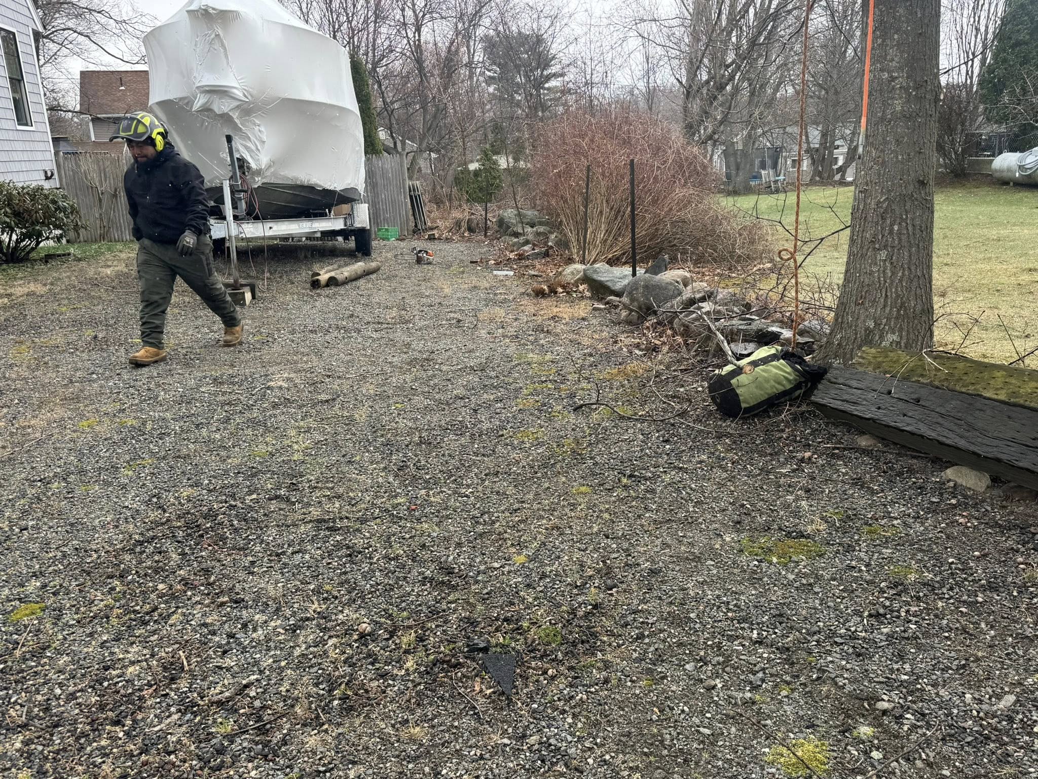 Worker preparing for tree removal near a gravel driveway using safety equipment in a residential backyard
