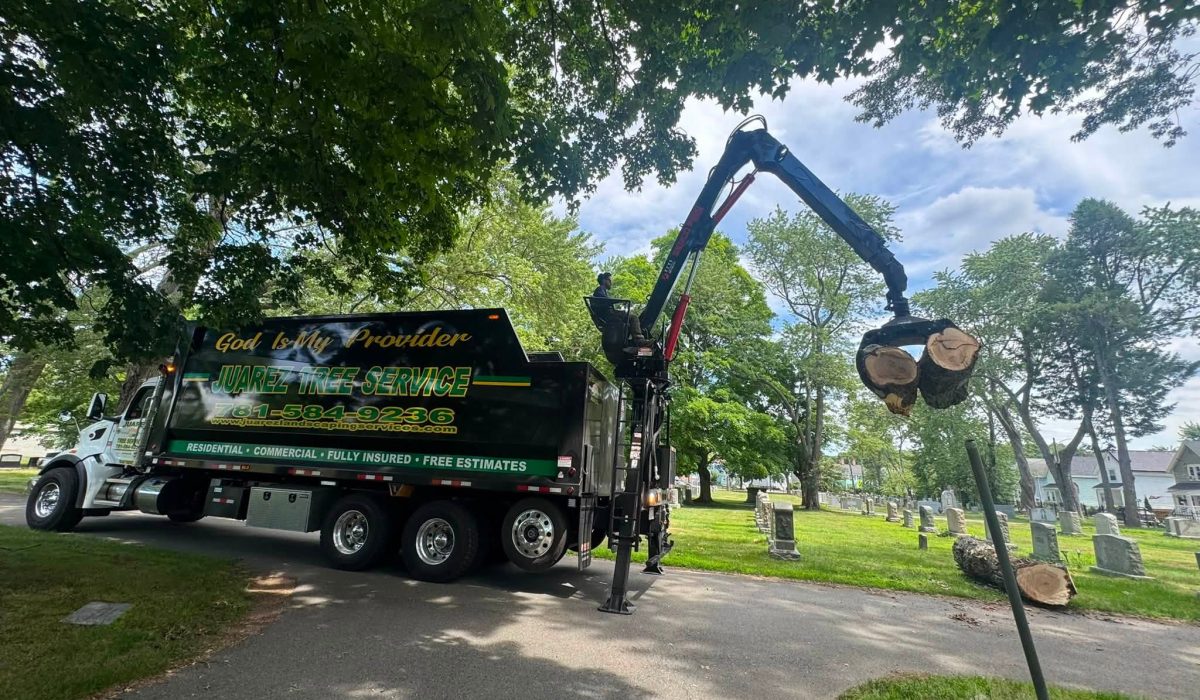 Grapple truck lifting large tree logs during professional tree removal by Juarez Landscaping and Tree Services.