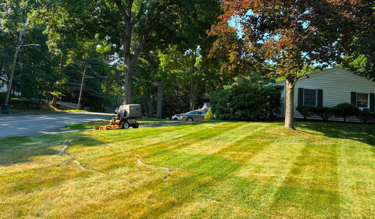 Professional lawn striping services creating clean mowing patterns on a residential lawn by Juarez Landscaping and Tree Services.
