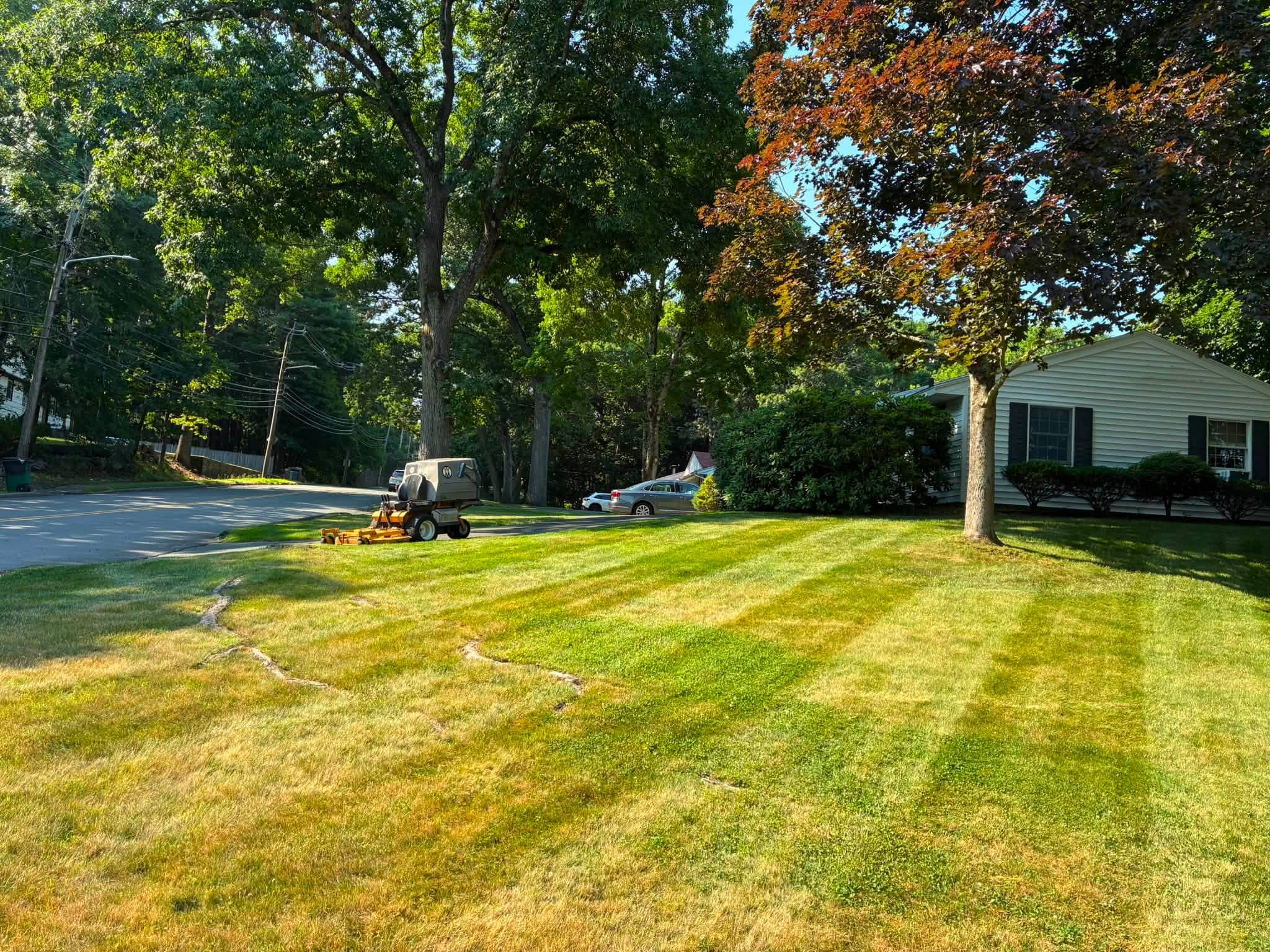 Professional lawn striping services creating clean mowing patterns on a residential lawn by Juarez Landscaping and Tree Services.