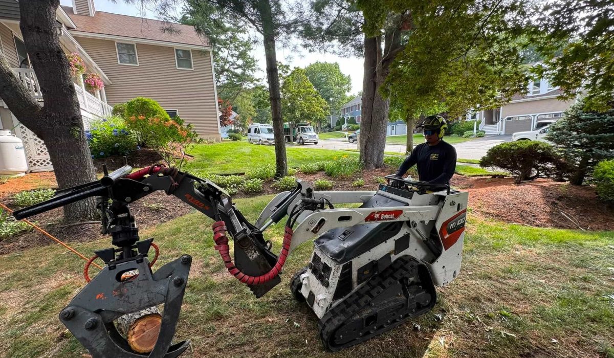 Tree removal equipment featuring a mini track loader with a grapple attachment moving heavy logs during a residential tree removal project by Juarez Landscaping and Tree Services.