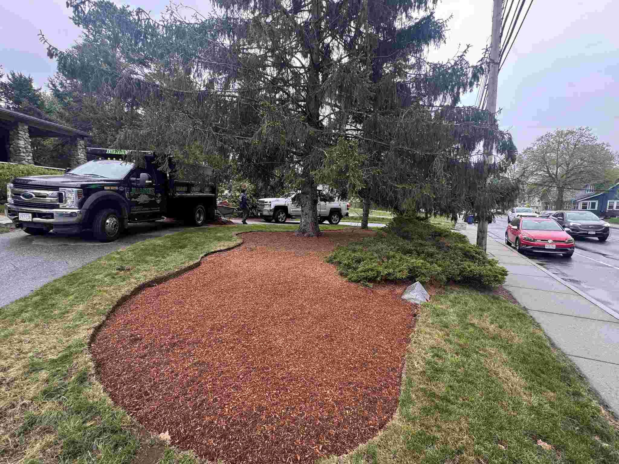 Red mulch landscape bed around trees in Peabody, MA