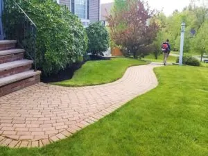 Landscaping services near me"