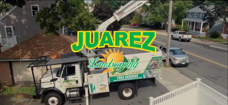 Juarez Landscaping near me